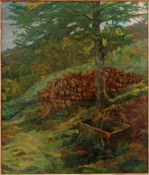 De Siegfried-bron in het Odenwald